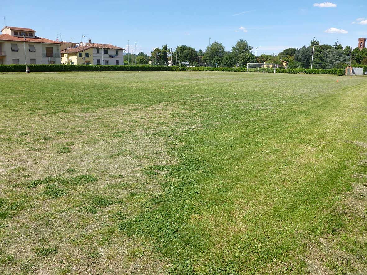Campo Sussidiario
